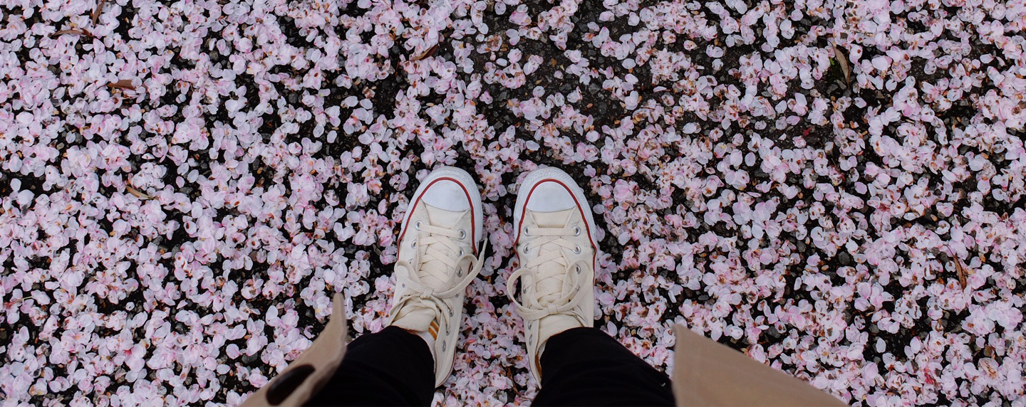 cherry_blossom_shoes_pink