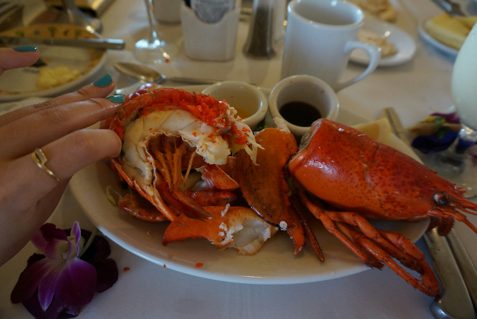 delicious_lobster