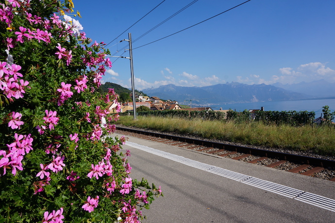 Lavaux