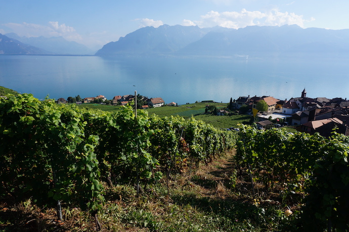 Lavaux trekking