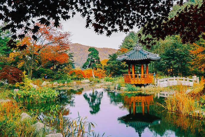 The Garden Of Morning Calm