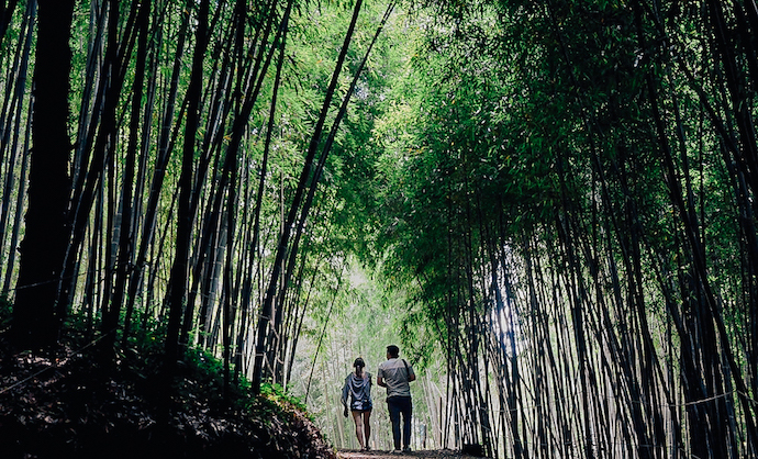 Jungnogwon Bamboo Garden