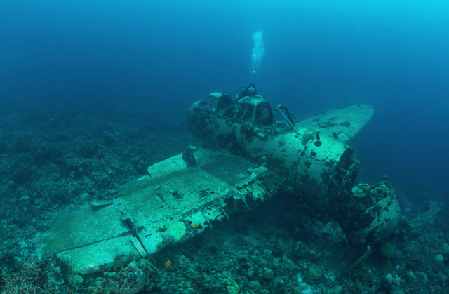 II WW Sunken Airplane Wreck -Palau