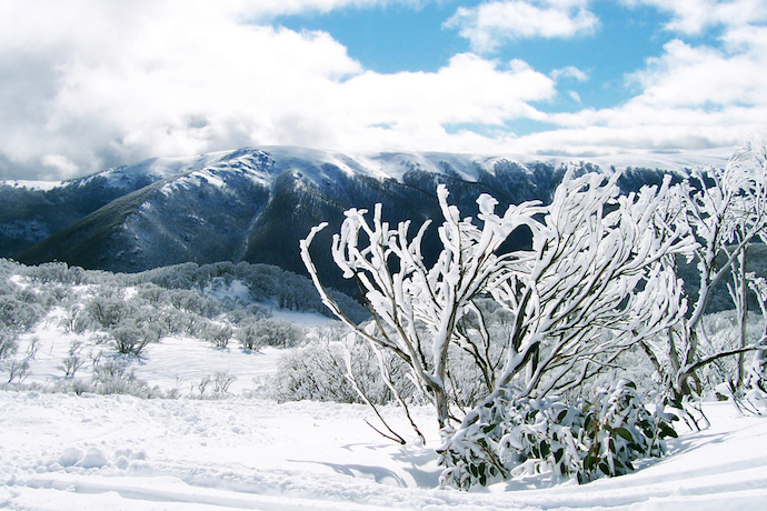 Falls Creek Ski Resort