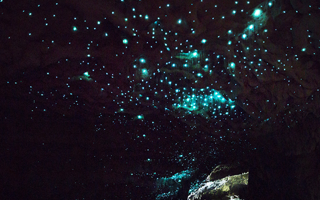 Waitomo Caves, New Zealand