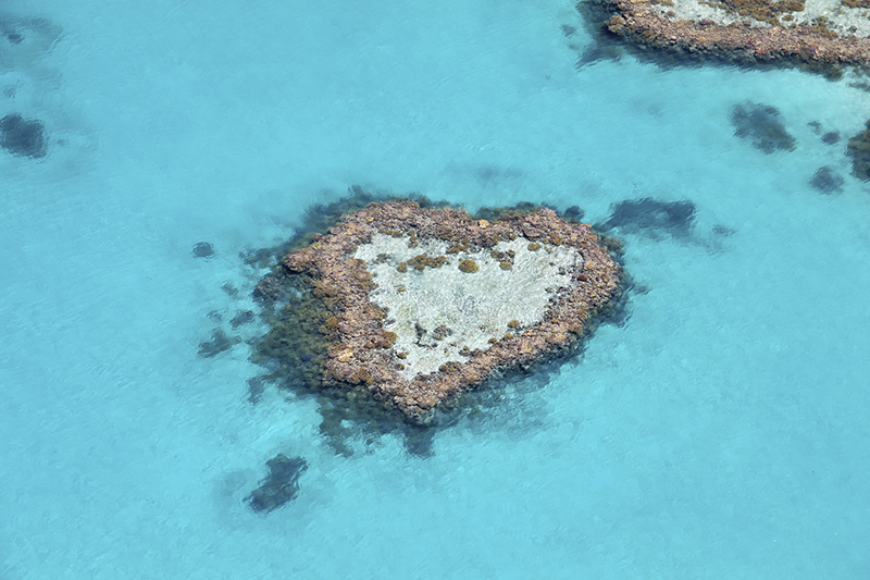 그레이트 배리어 리프 하트 모양 산호섬