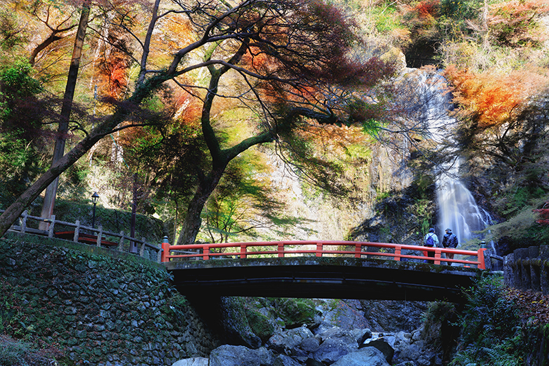 오사카 메이지의 숲 미노 국립공원의 단풍 풍경