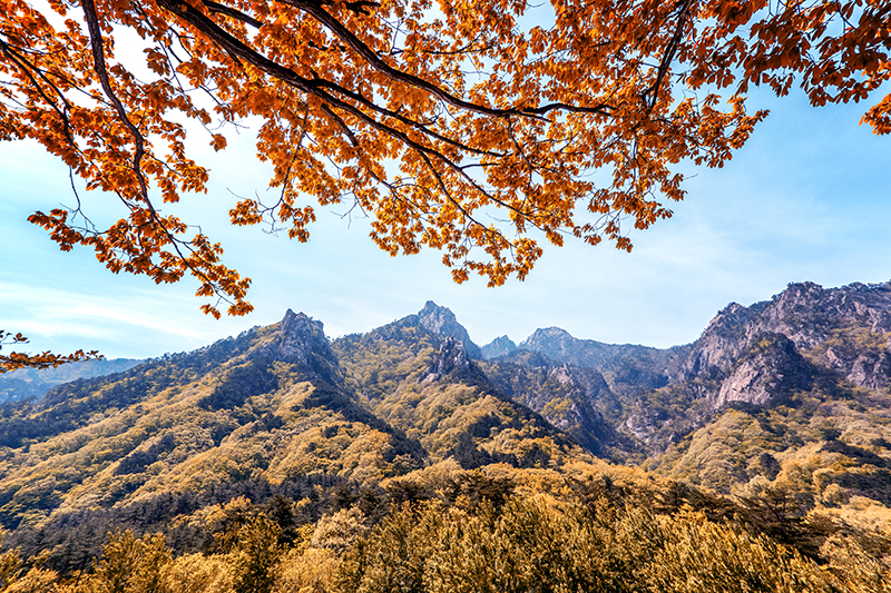 설악산 단풍 풍경