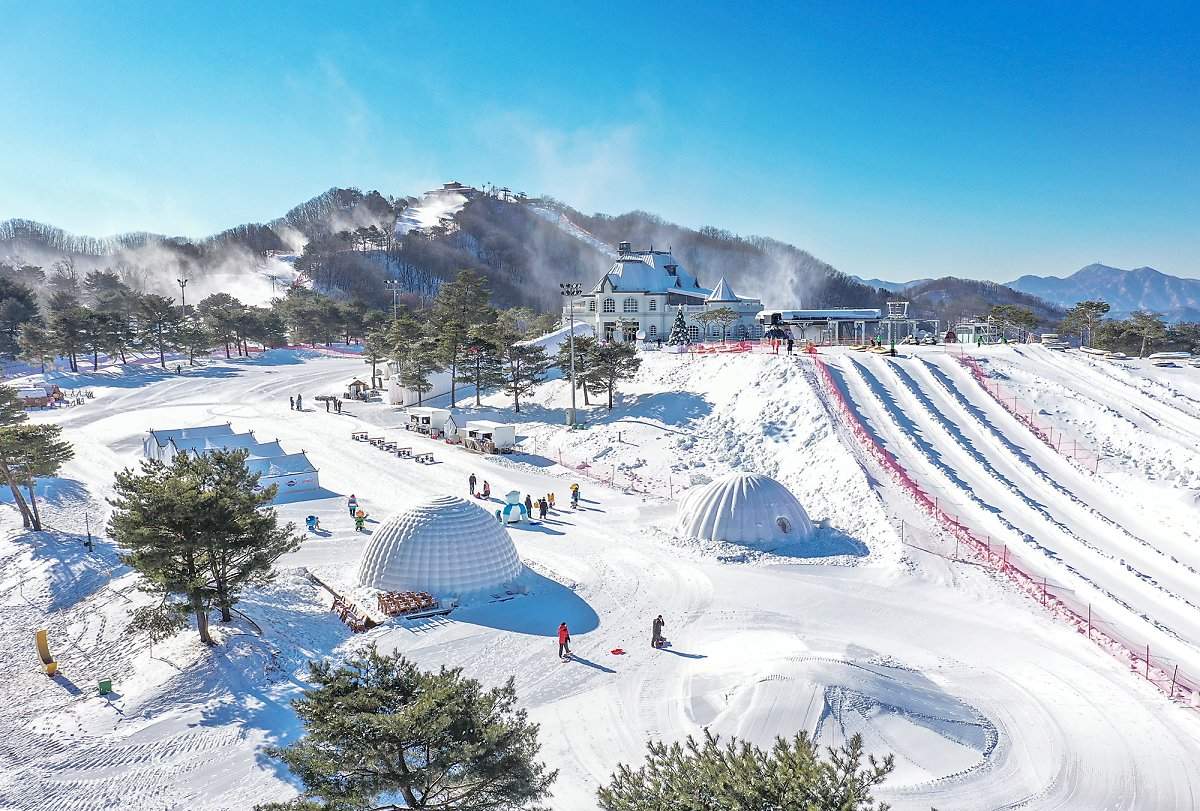 비발디파크