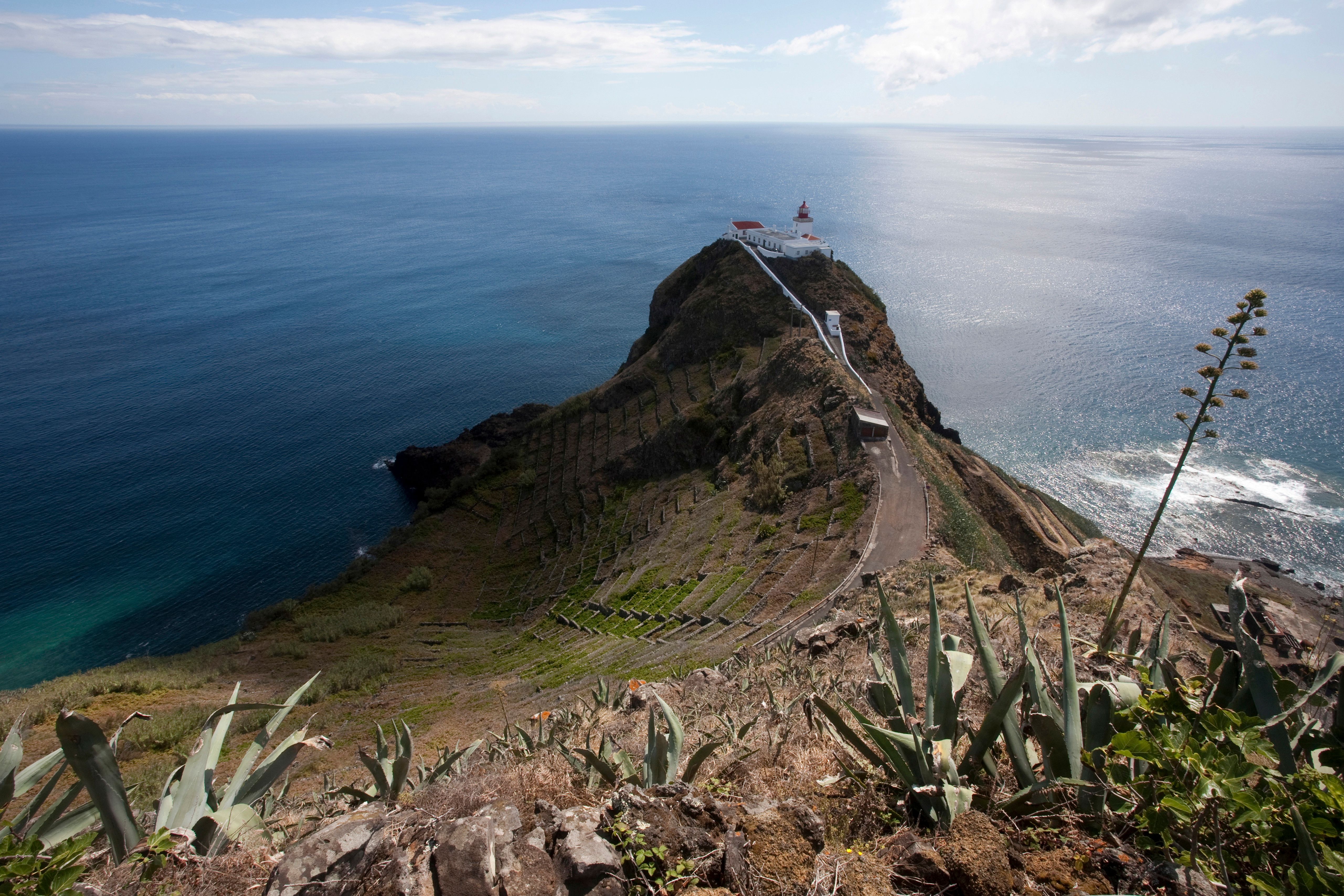 마이아 (포르토) 렌터카