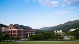 원주 항공권 실시간 할인 항공권 검색