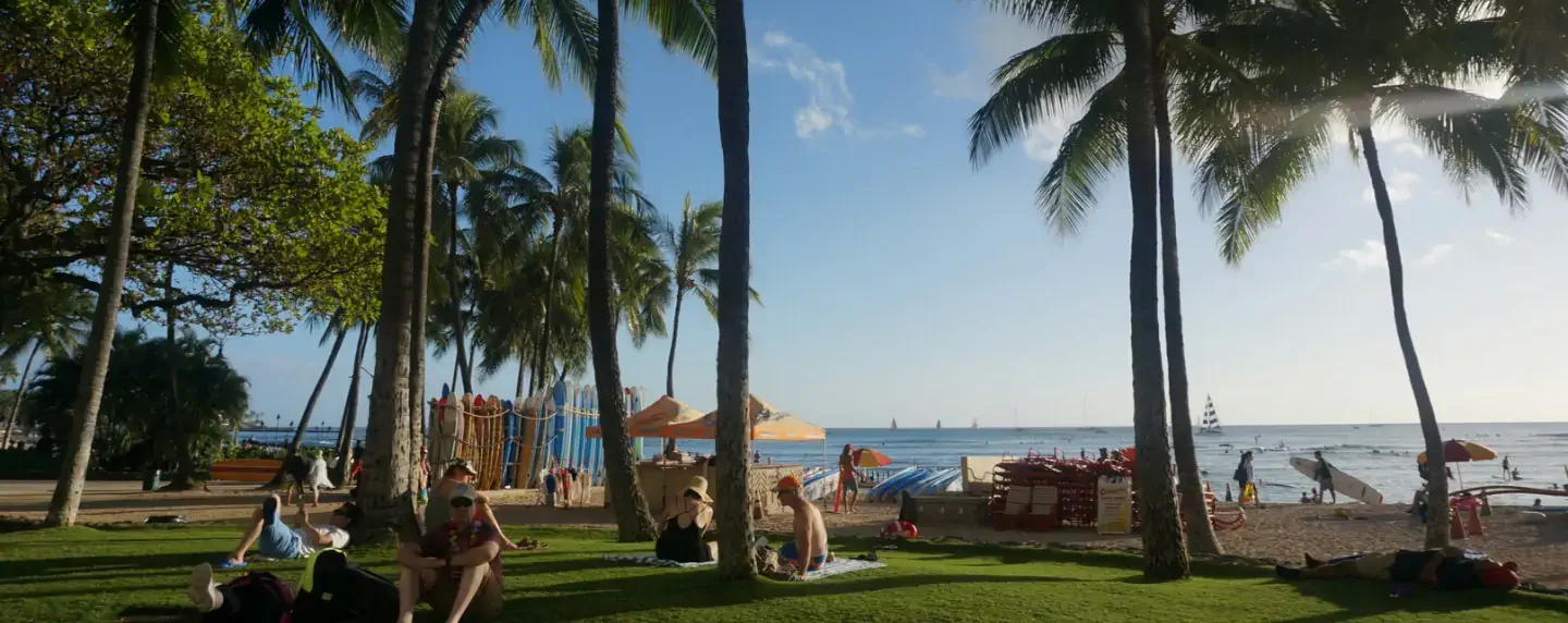 hawaii_beach_shade