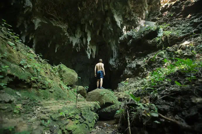 iriomote_island_iriomotejima