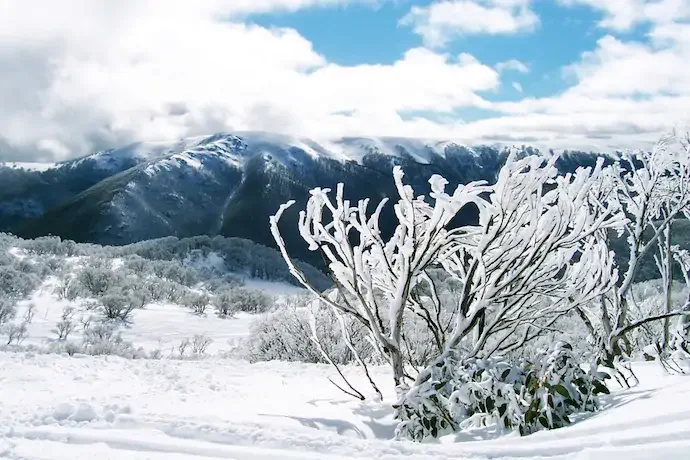 Falls Creek Ski Resort