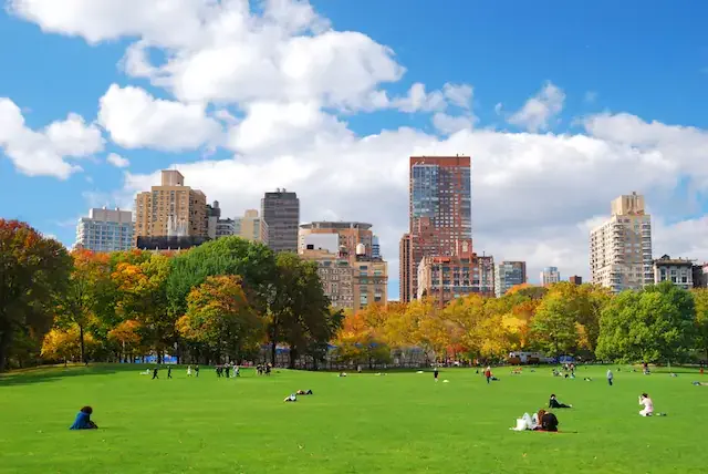 Central Park in Manhattan