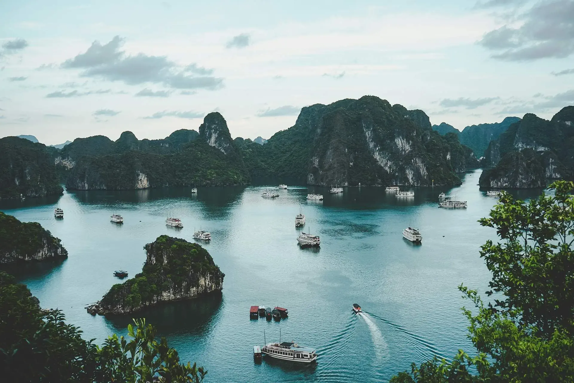 ammie-ngo-vcu-ozbxxrk-unsplash