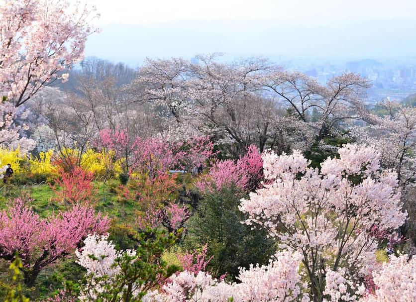 야외뷰 사진