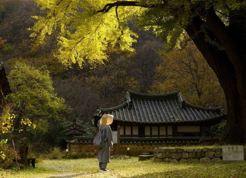 관광 명소 사진