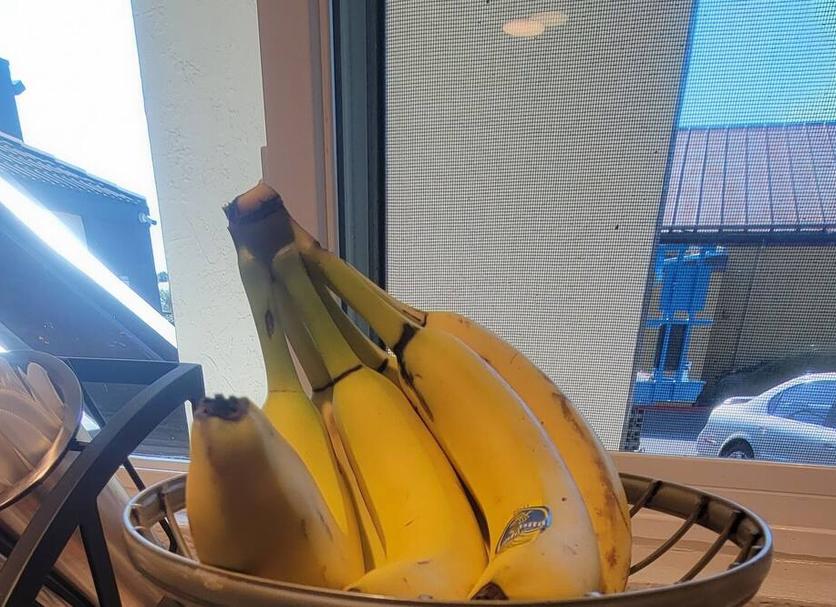 기타 사진