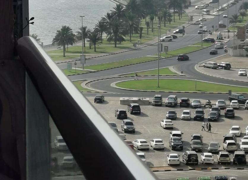 기타 사진
