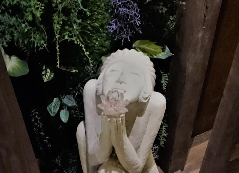 기타 사진
