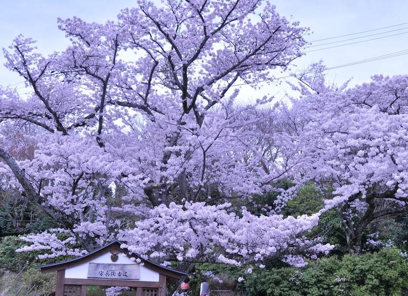 야외뷰 사진