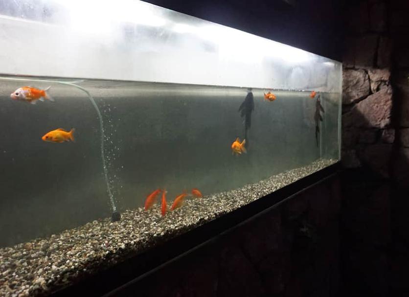기타 사진