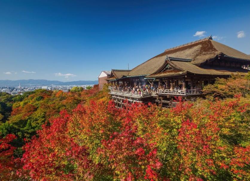 야외뷰 사진