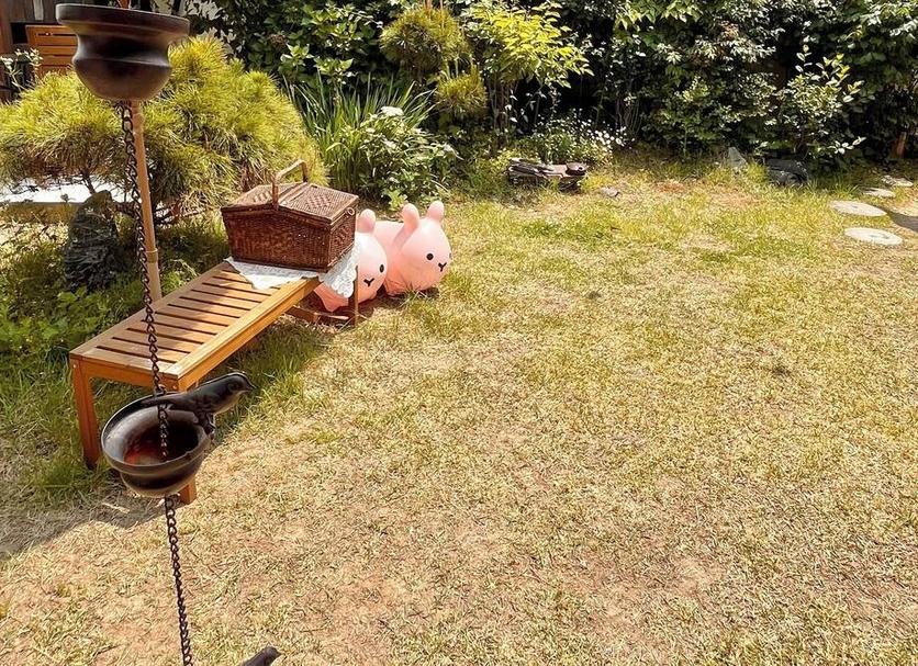 기타 사진
