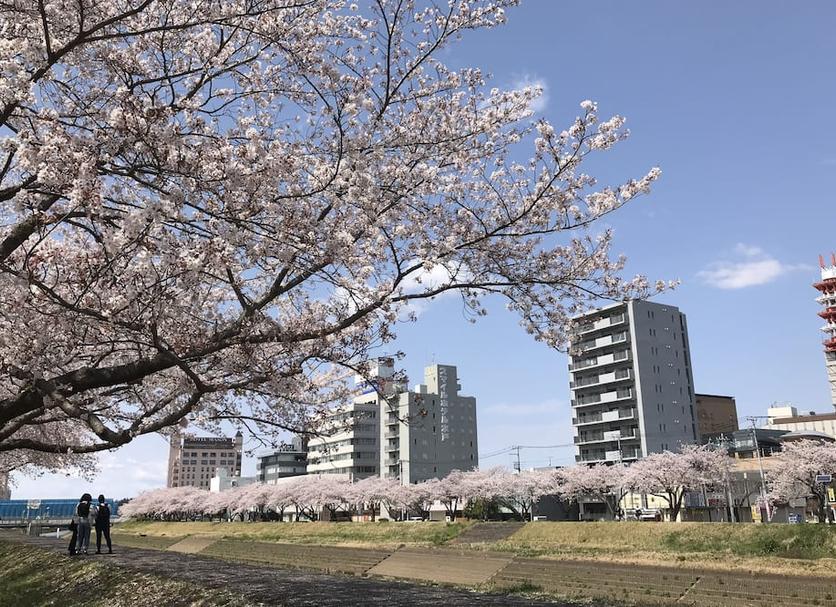 야외뷰 사진