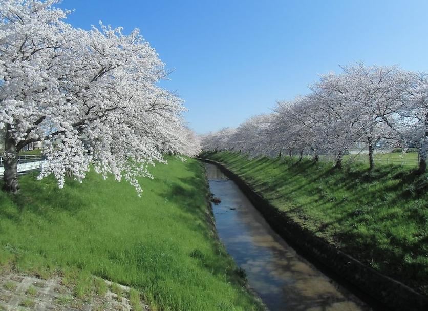 야외뷰 사진
