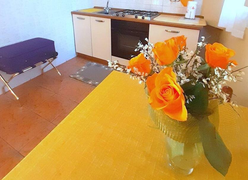 기타 사진