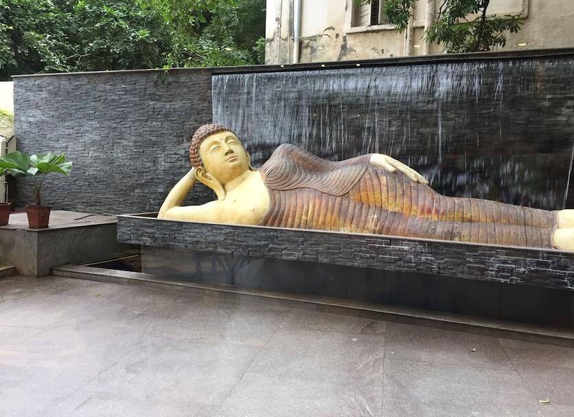 기타 사진