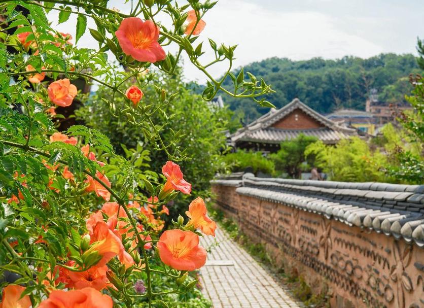 야외뷰 사진