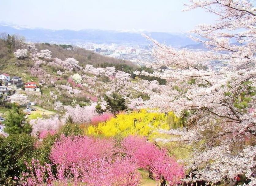 야외뷰 사진