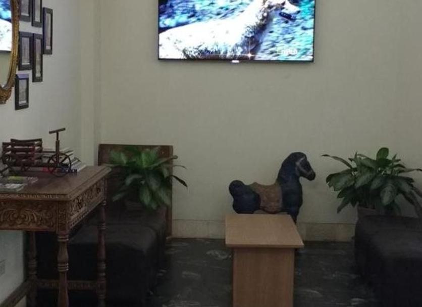 기타 사진