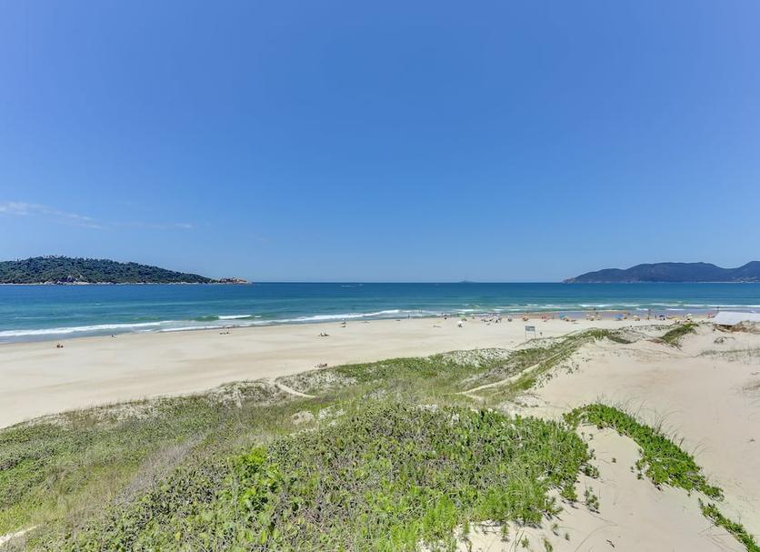해변 사진