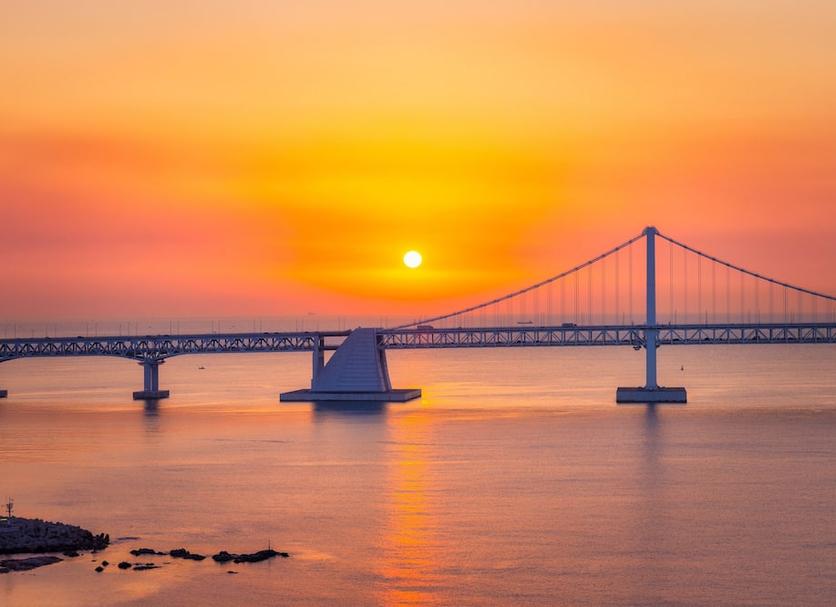 기타 사진