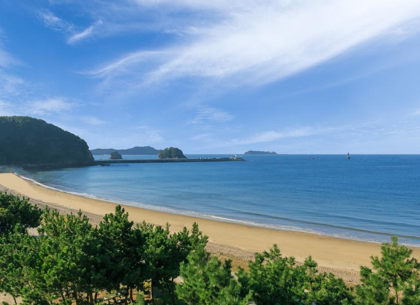 해변 사진