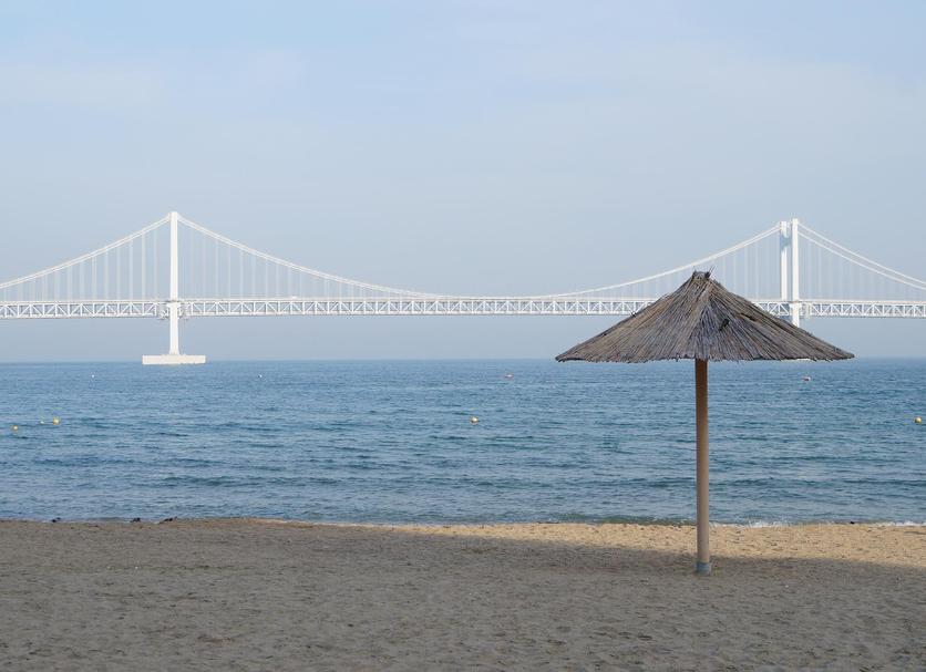 해변 사진