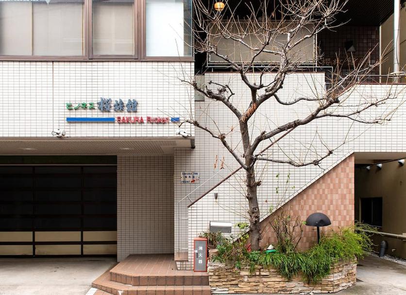 기타 사진