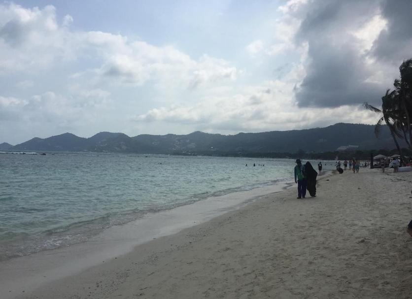 해변 사진