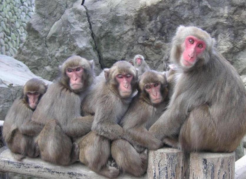 기타 사진