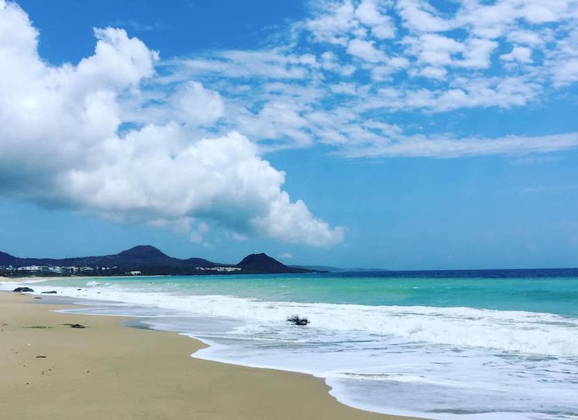 해변 사진