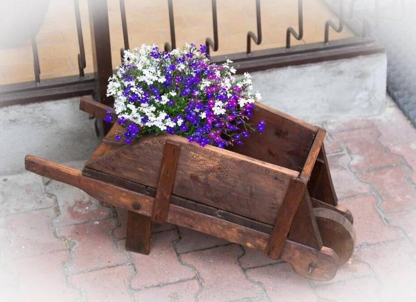 기타 사진