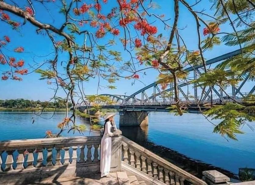 기타 사진