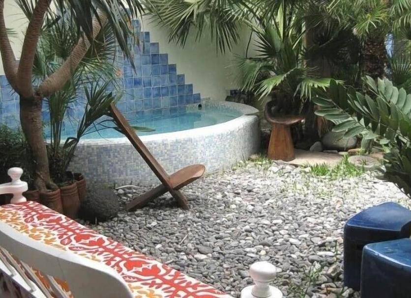 기타 사진