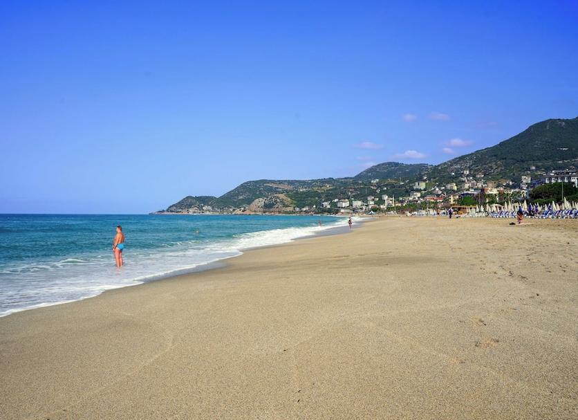 해변 사진