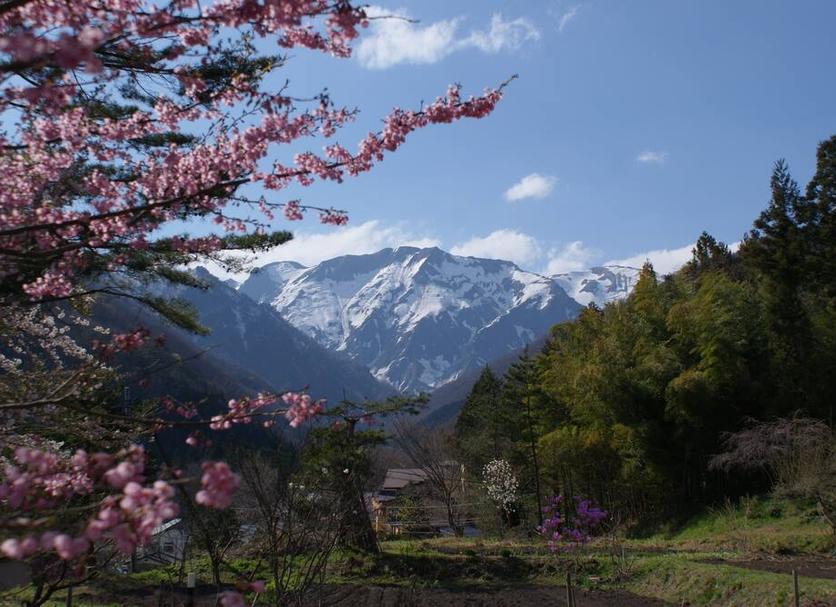 야외뷰 사진