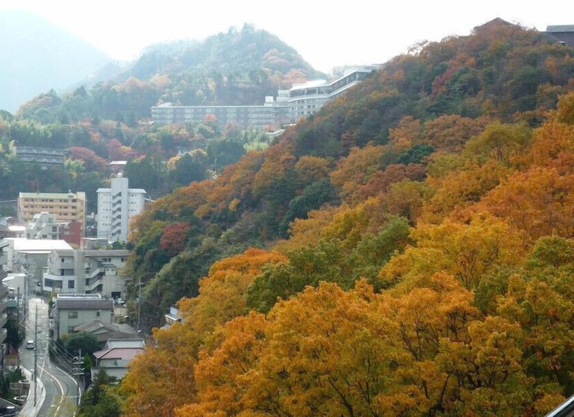 야외뷰 사진